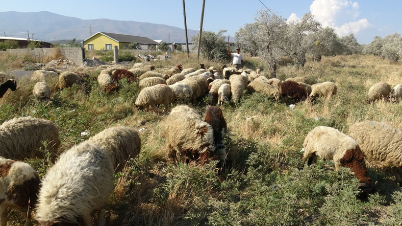 80 bin TL maaşa rağmen eleman bulamıyorlar: 'Her adam bu işi yapamaz' - Resim : 2