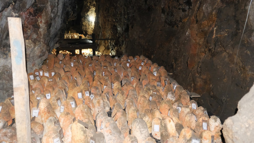 Mağaraya beyaz giriyor kırmızı &ccedil;ıkıyor. Bu yıl 42 ton &uuml;retildi - Resim : 1