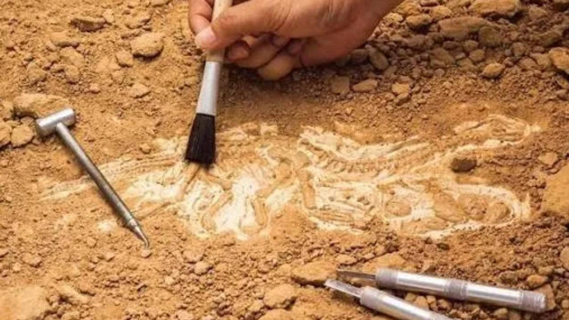 Mezarın i&ccedil;inden &ccedil;ıkan not okundu: Bin 700 yıllıkta: Dinle baba - Resim : 8