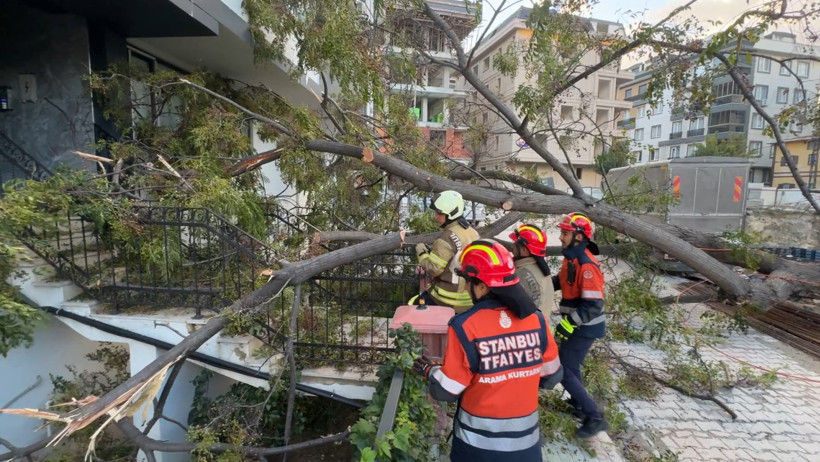 Faciaya ramak kala. Ağacın altında kalmaktan son anda kurtuldu - Resim : 2