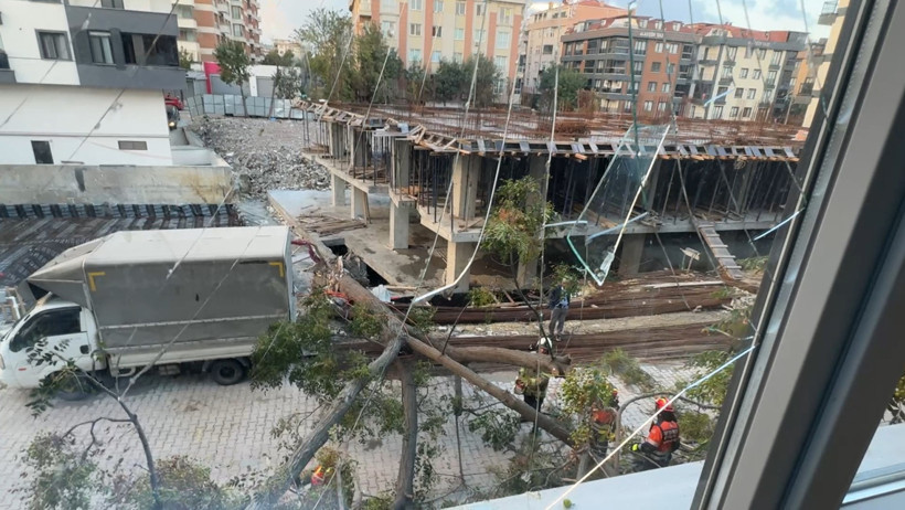 Faciaya ramak kala. Ağacın altında kalmaktan son anda kurtuldu - Resim : 1