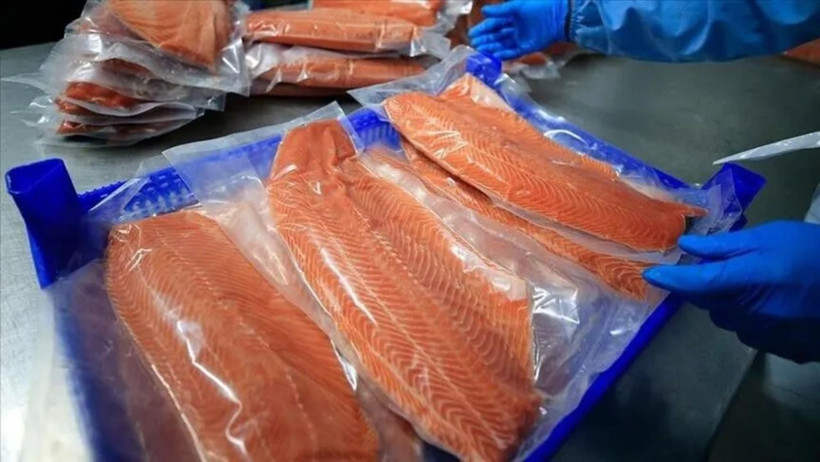 Hamsi ve istavrit de listede. Omega-3 bakımından &ouml;ne &ccedil;ıkan 5 balık - Resim : 4