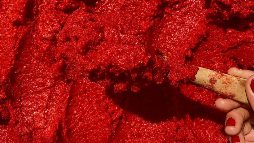Salça seçerken bunu yapmayın! Rengine bakıp karar vermek yanıltıyor - Resim : 4