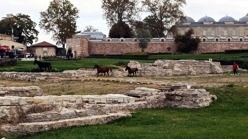 UNESCO mirası meydanda şaşırtan manzara! Atlar otladı - Resim : 2