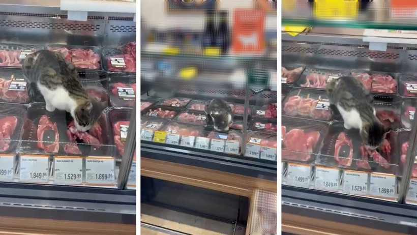 Türkiye’nin en meşhur marketinde skandal! Kedi kilosu 1500 liralık eti yedi, çalışan 'Bir şey yapmaz abla' dedi - Resim : 4