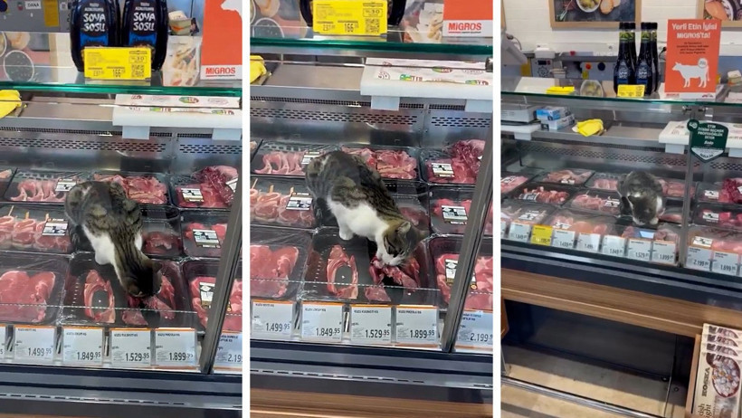 Türkiye’nin en meşhur marketinde skandal! Kedi kilosu 1500 liralık eti yedi, çalışan 'Bir şey yapmaz abla' dedi - Resim : 5