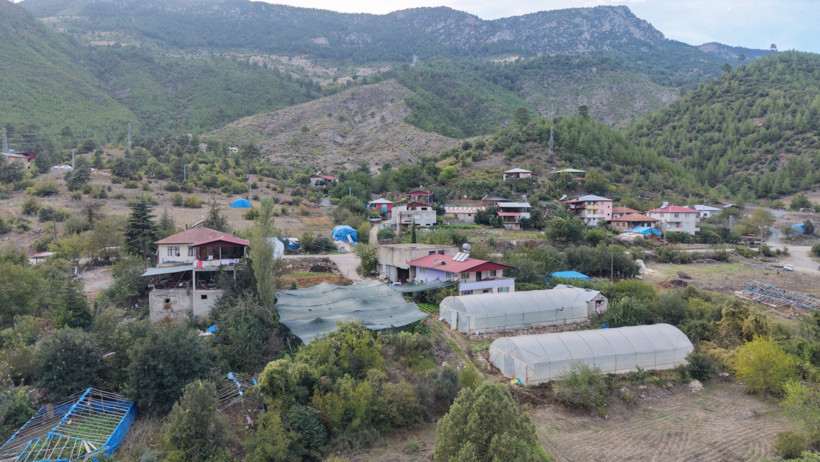 Geçen yıl dikti bu yıl kilosunu 500 liradan satıyor - Resim : 1