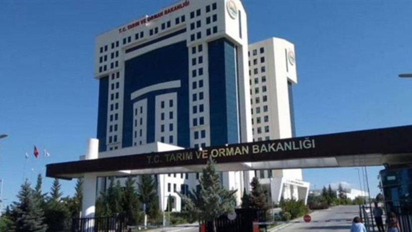 At ve eşek eti skandalında 3 il önde gidiyor. Kavurma sucuk kıyma tantuni - Resim : 1
