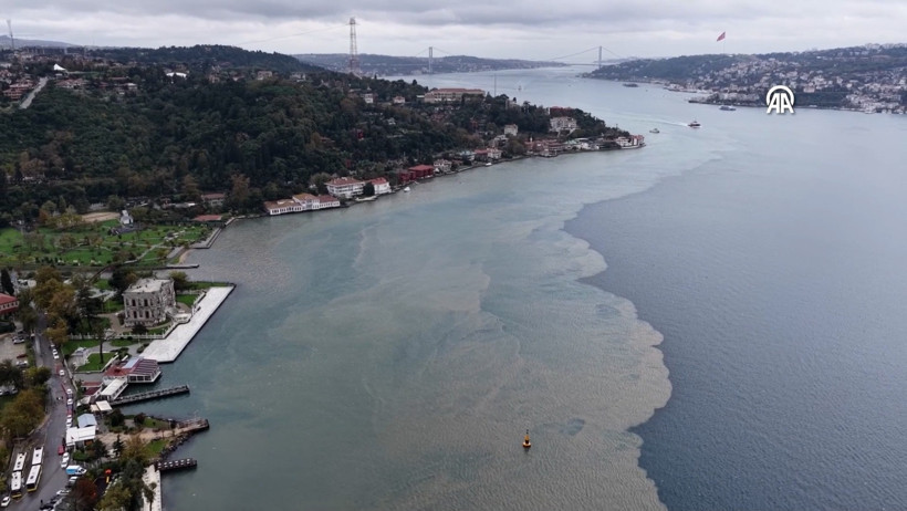 İstanbul Boğazı çamurla kaplandı. Doğa adeta çizgi çekti - Resim : 3