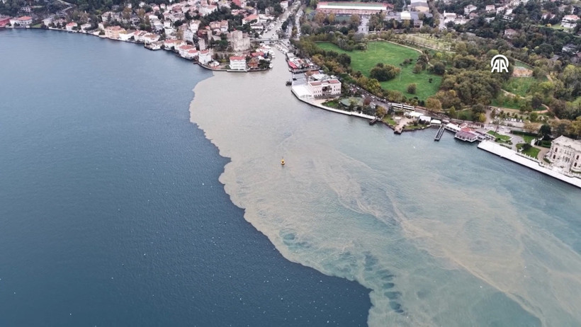 İstanbul Boğazı çamurla kaplandı. Doğa adeta çizgi çekti - Resim : 2