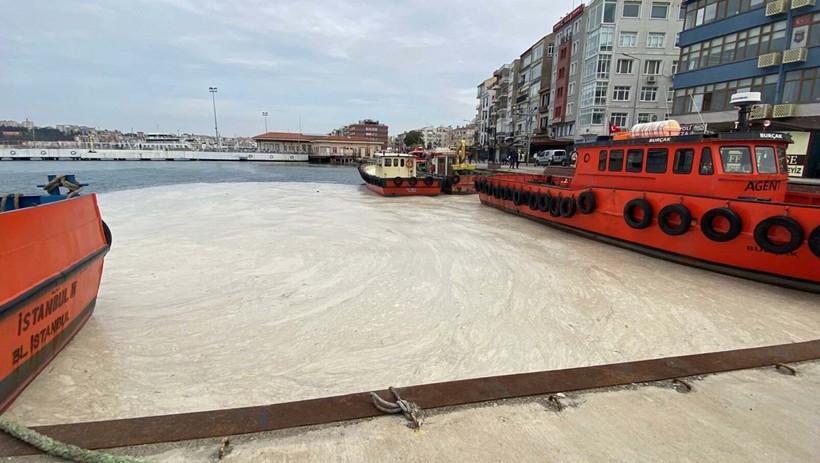 Müsilajdan kurtuluşun umudu yaza kaldı - Resim : 3