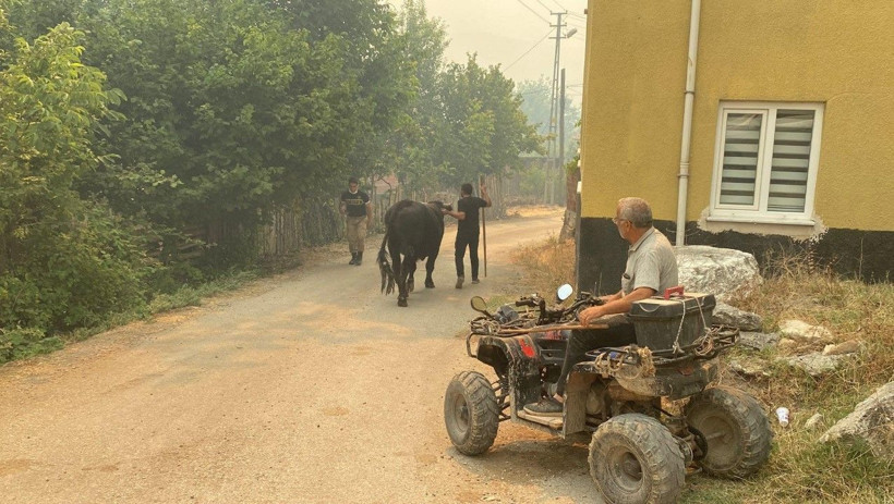 Karabük yangını günlerdir sürüyor - Resim: 9