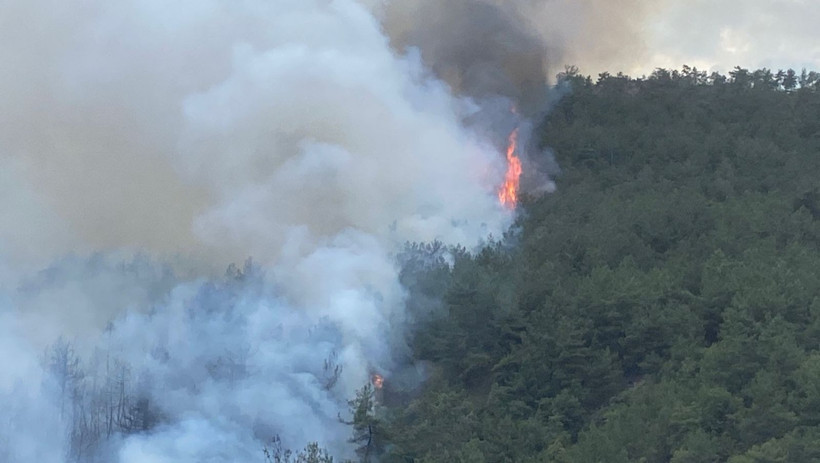 Aynı yerde yeniden orman yangını - Resim: 3