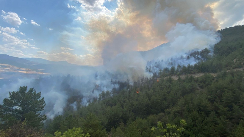 Aynı yerde yeniden orman yangını - Resim: 5