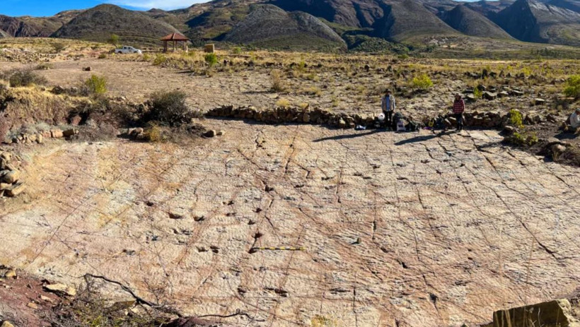 Dinozorlara ait 16 bin 600 ayak izi bulundu - Resim : 2