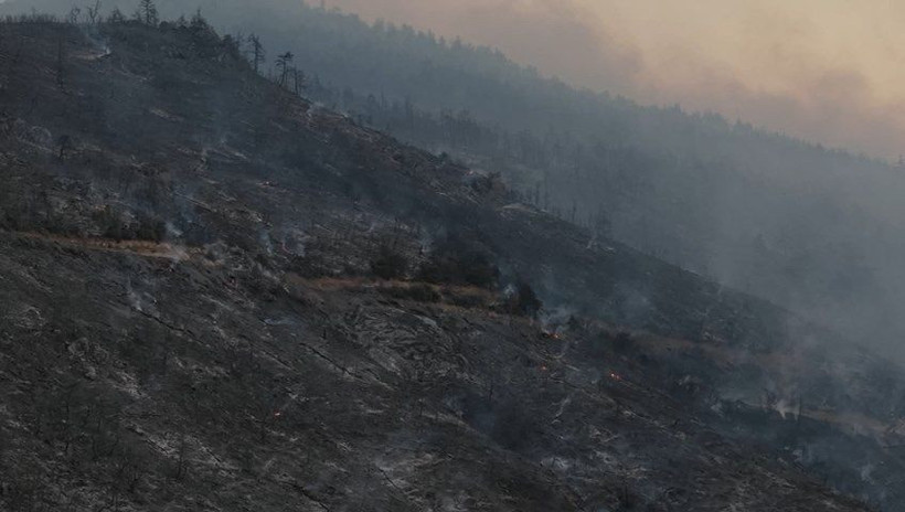 Bir zamanlar yemyeşildi: Bursa'da yanan bölge havadan görüntülendi - Resim: 6