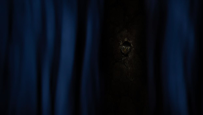 2025 Doğa Fotoğrafçılığı Yarışması'nın kazananları belli oldu - Resim: 3