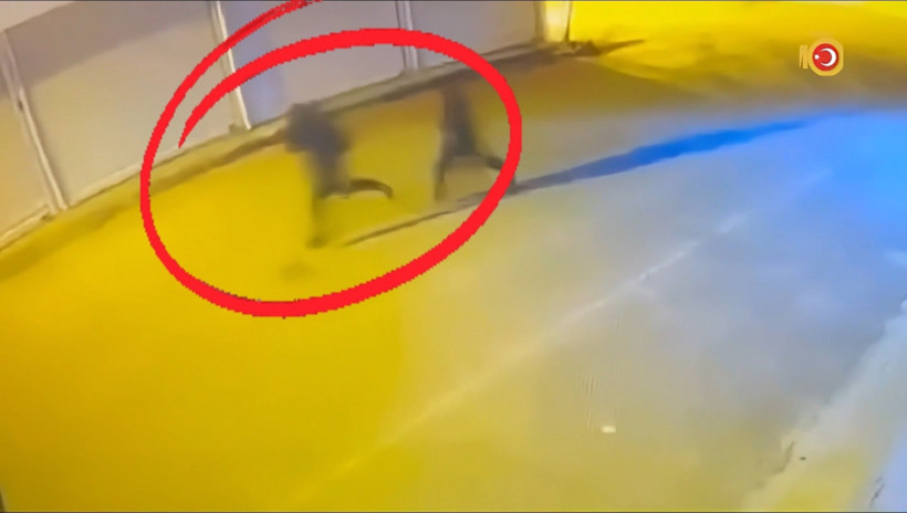 Diyarbakır’da suç örgütü operasyonu: 40 gözaltı - Resim : 1