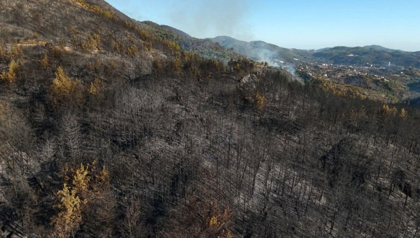 Antalya kâbusu yaşadı: 24 saatte 21 yangın - Resim: 31