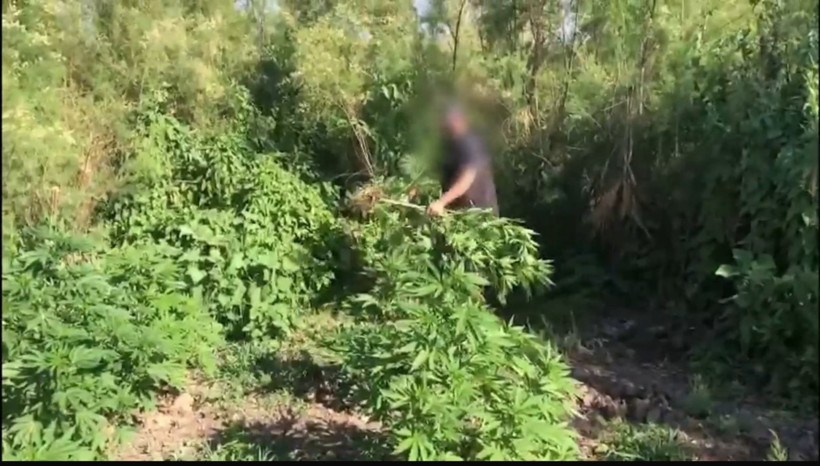 Diyarbakır'da uyuşturucu adacıkları - Resim : 1