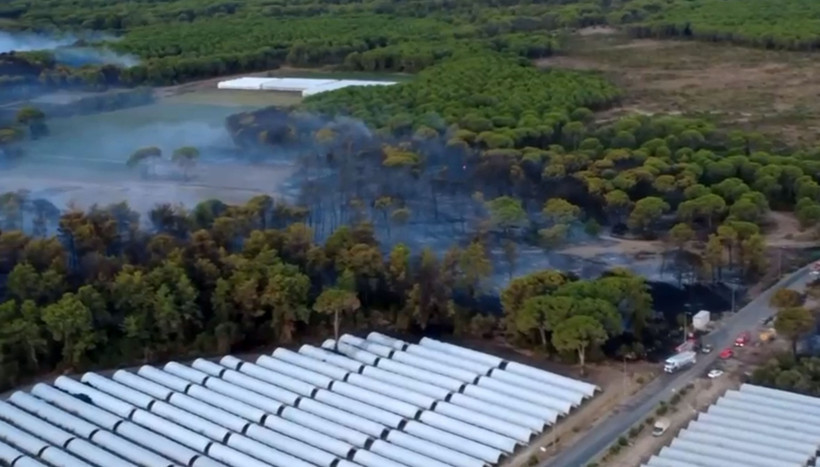 Antalya’da çıkan orman yangınının boyutu gündüz ortaya çıktı - Resim : 2