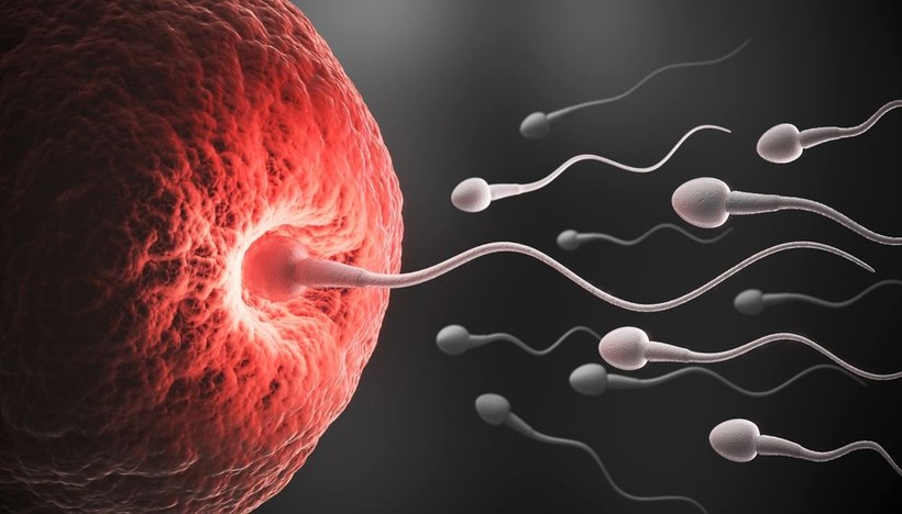 Yok böyle bahis: Spermleri yarıştıracaklar - Resim: 8