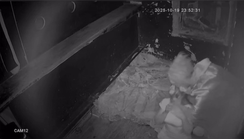 Eğlence çığırından çıktı: Kadına elektroşok uyguladı - Resim: 6