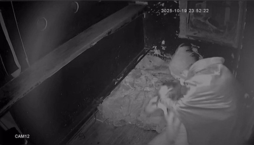 Eğlence çığırından çıktı: Kadına elektroşok uyguladı - Resim: 8