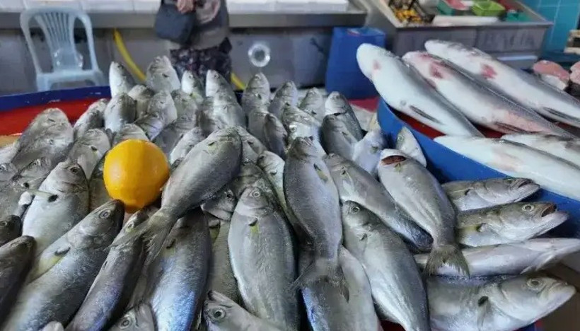Palamut hamsi istavrit alacaklar dikkat. En ucuz balık sandığınız gibi olmayabilir - Resim : 1