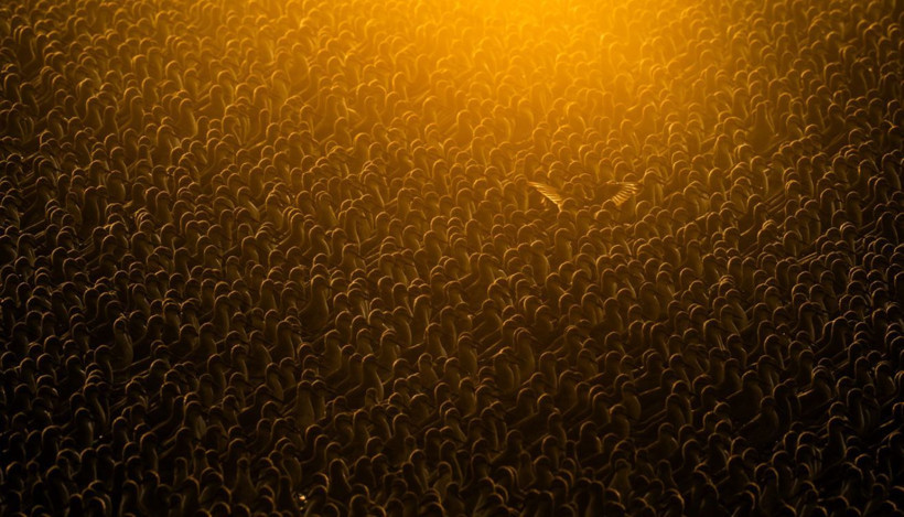 2025 Doğa Fotoğrafçılığı Yarışması'nın kazananları belli oldu - Resim: 2