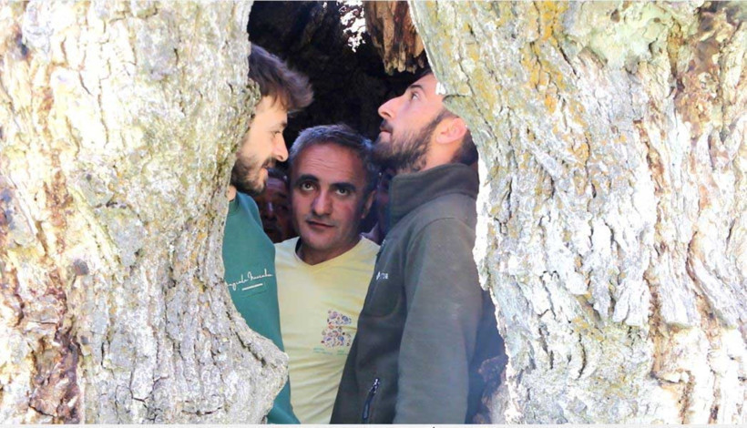 Asırlık ceviz ağacının kovuğuna 12 kişi sığdı - Resim : 3