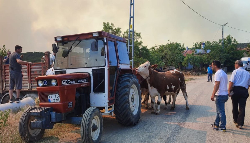 Alevlerin arasında kaldılar - Resim: 6