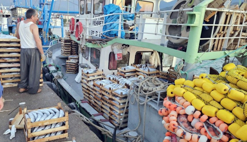 100 gramı 4 TL’ye düştü! Palamut bolluğu balıkçı ağlarını parçaladı - Resim: 1