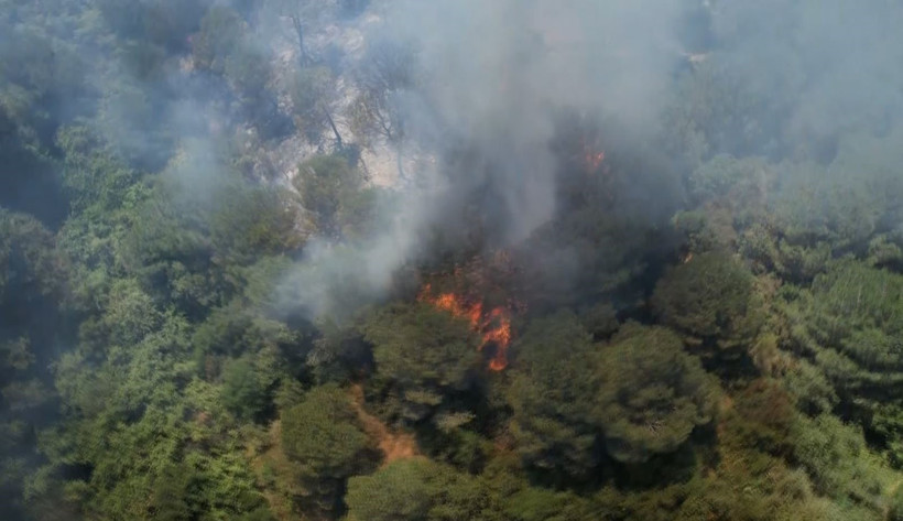 İstanbul’da orman yangını - Resim : 1