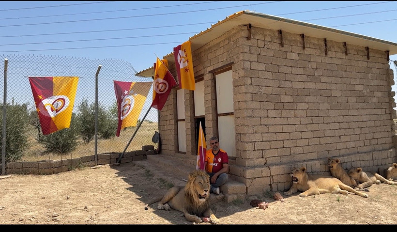 Galatasaray'ın şampiyonluğunu 'aslanlarıyla' kutladı: Biri Fatih, diğeri Okan - Resim : 2