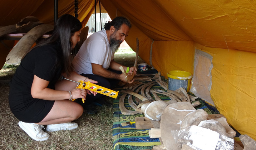 Müze bahçesine gömülen balinanın kemikleri birleştiriliyor - Resim : 1