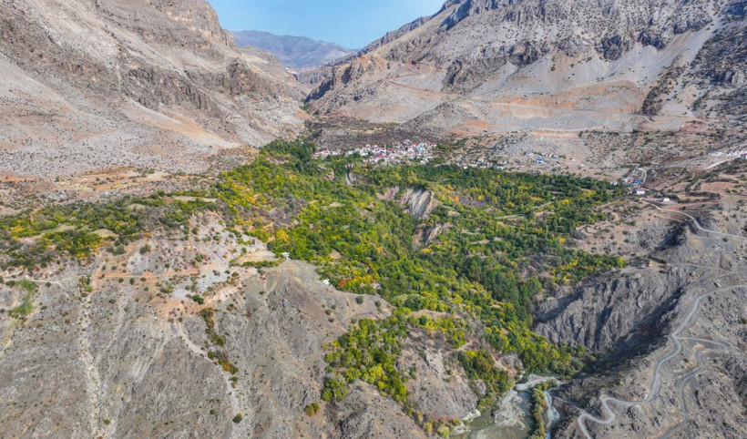 İklim değişti mahsul şaşırttı: Diyarbakır'da mikroklima mucizesi - Resim: 2