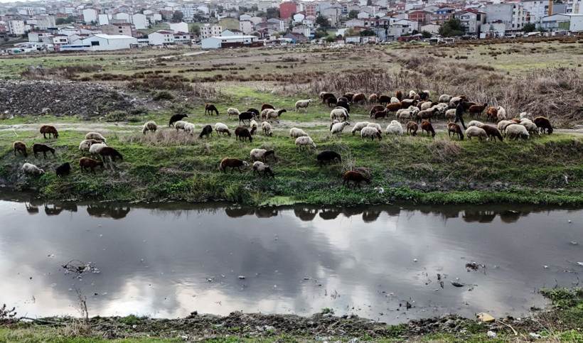 İstanbul'da ürküten manzara - Resim: 2