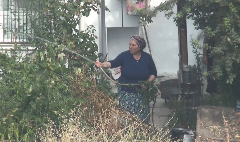 Silivri'de ağaçlık alan alev alev yandı - Resim: 3