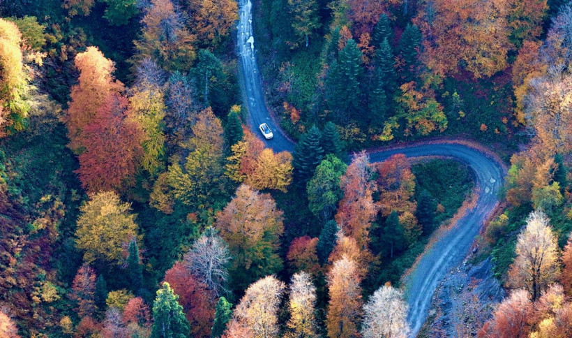 Tuval gibi: Düzce'den büyüleyen kareler - Resim: 28