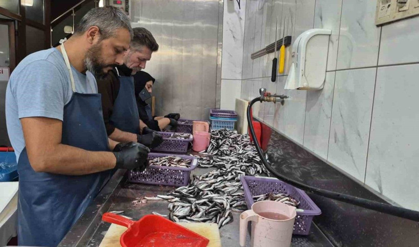 1 kilo hamsi alıp eve gelenler şaşkın! Adet sayısı herkesi şoke etti - Resim: 4