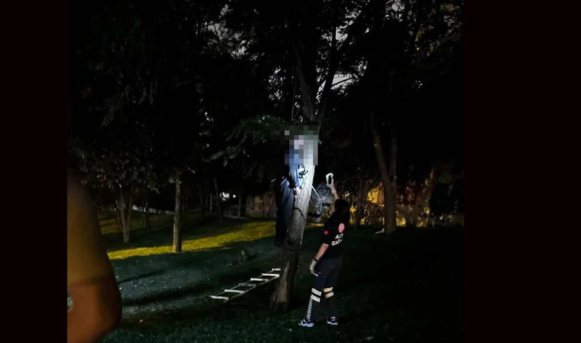 Ümraniye'de yaşlı adam ağaca asılı halde ölü bulundu - Resim : 1