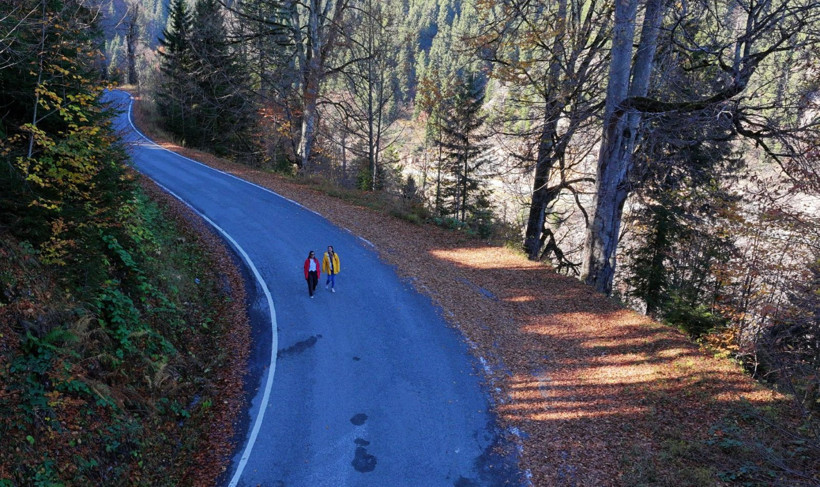 Bu ağaçlar fotoğraf tutkunlarını çağırıyor - Resim: 4