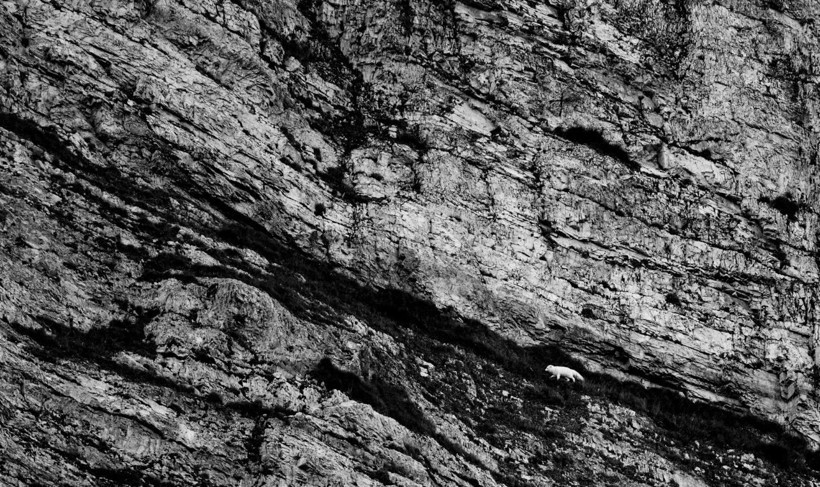 2025 Doğa Fotoğrafçılığı Yarışması'nın kazananları belli oldu - Resim: 16