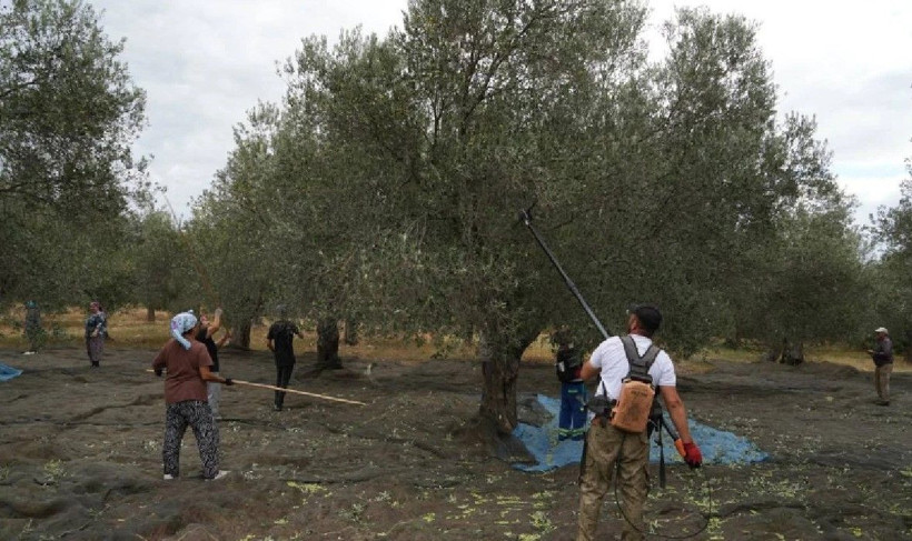 Türkler tadına bile bakamıyor Avrupalı ilaç yerine tüketiyor - Resim: 13