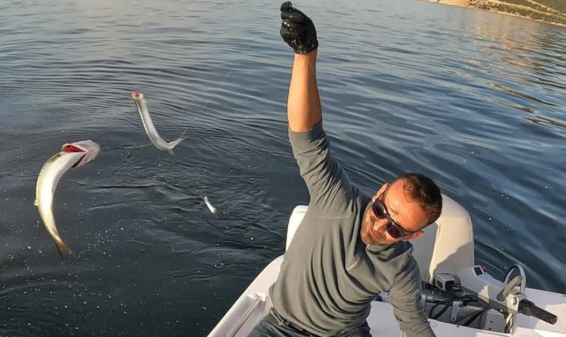 Kasım ayında alınabilecek balıklar belli oldu - Resim : 1