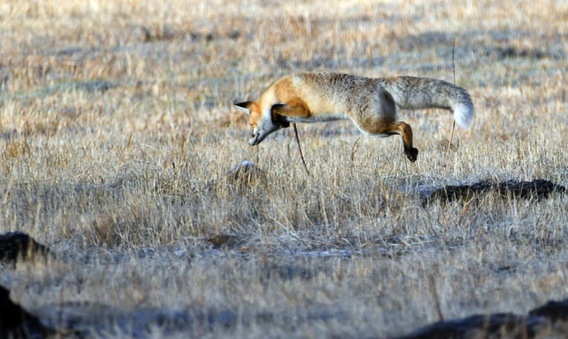 Kars'ta kış masalı başladı - Resim: 5