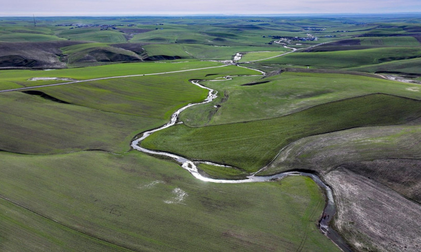 20 yıl sonra eski günlerine döndü: Yeniden canlandı - Resim: 20