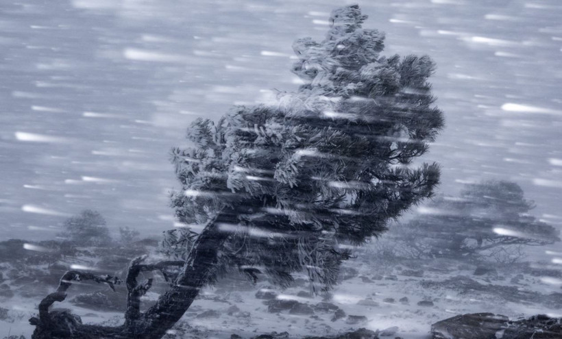 2025 Doğa Fotoğrafçılığı Yarışması'nın kazananları belli oldu - Resim: 8