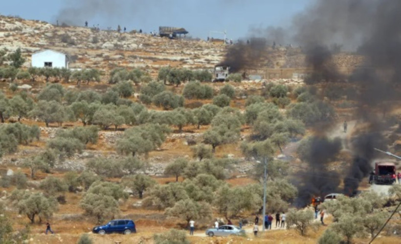 Bitmeyen zulüm: Sopalarla tarlalara saldırdılar - Resim : 1